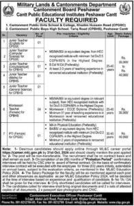 Latest Job at Cantt Public Educational Institution Peshawar 2024: Advertisement