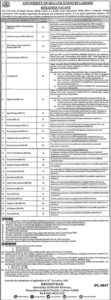 the University of Health Sciences Lahore Job 2024: Advertisement