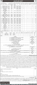 Latest Education Department Teaching Job 2024