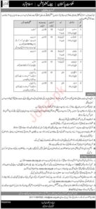 Latest Advocate General Management Jobs in Islamabad – November 2024: advertisement